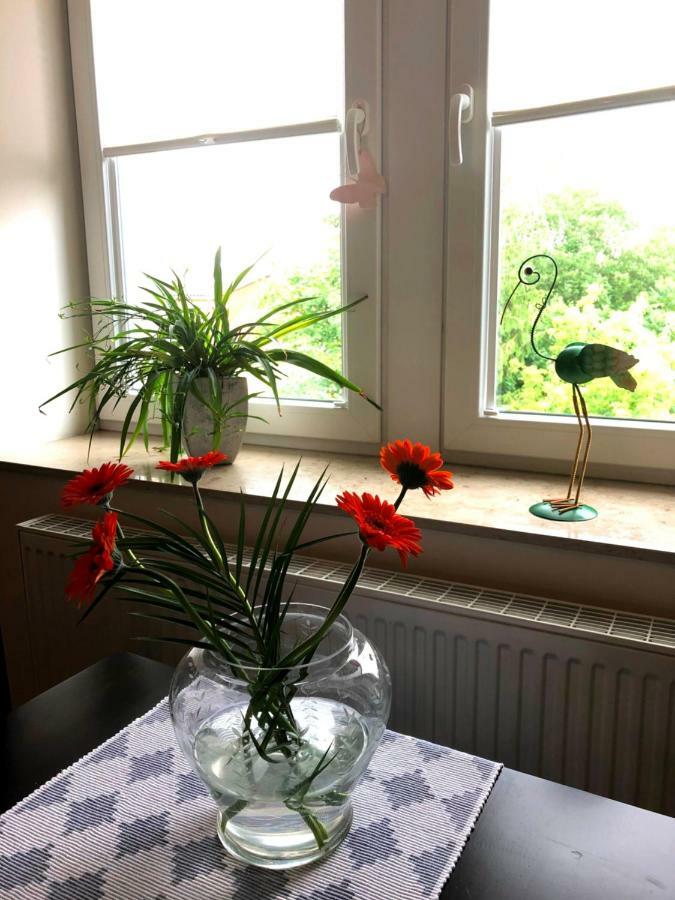 Ferienwohnung An Der Elbfaehre Dresden Eksteriør billede