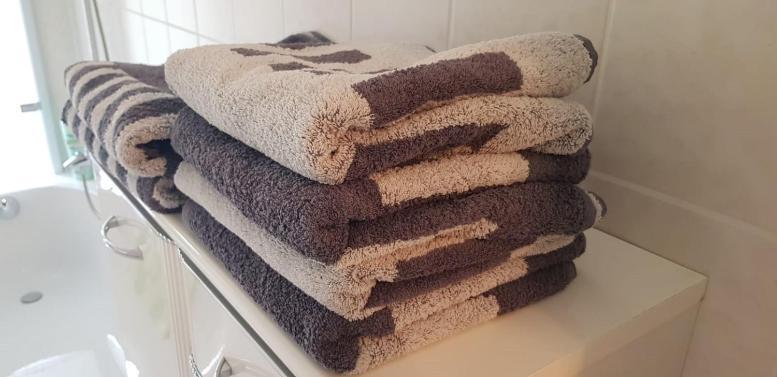 Ferienwohnung An Der Elbfaehre Dresden Eksteriør billede